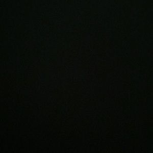 Meet your Posher, Sophia